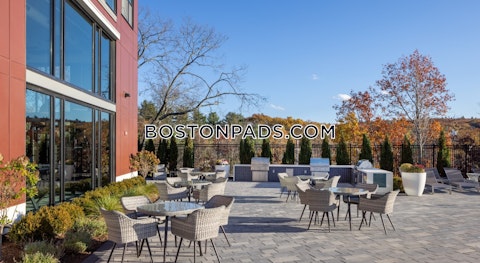 Winter St. Waltham photo 25