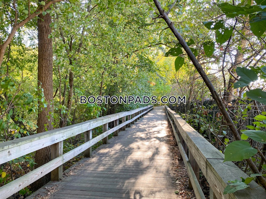 Watertown - $2,650+ /month