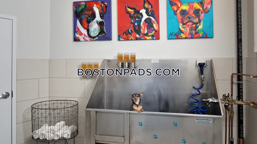 Weymouth - $3,823+ /month