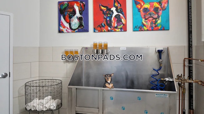 Weymouth - $3,385+ /mo