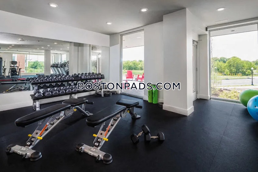 Weymouth - $5,450+ /month