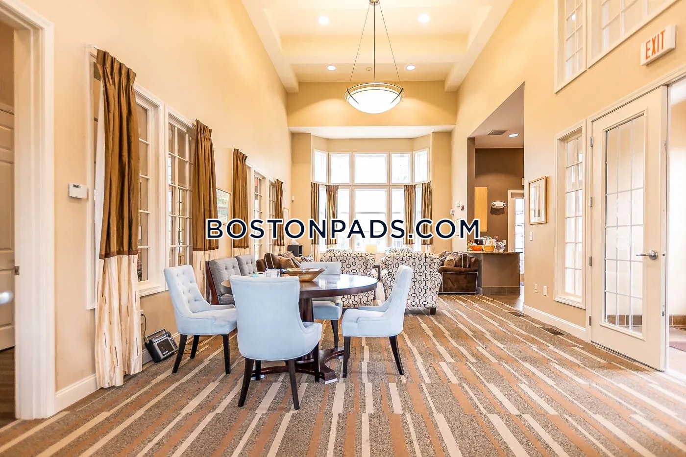 Technology Dr. Chelmsford