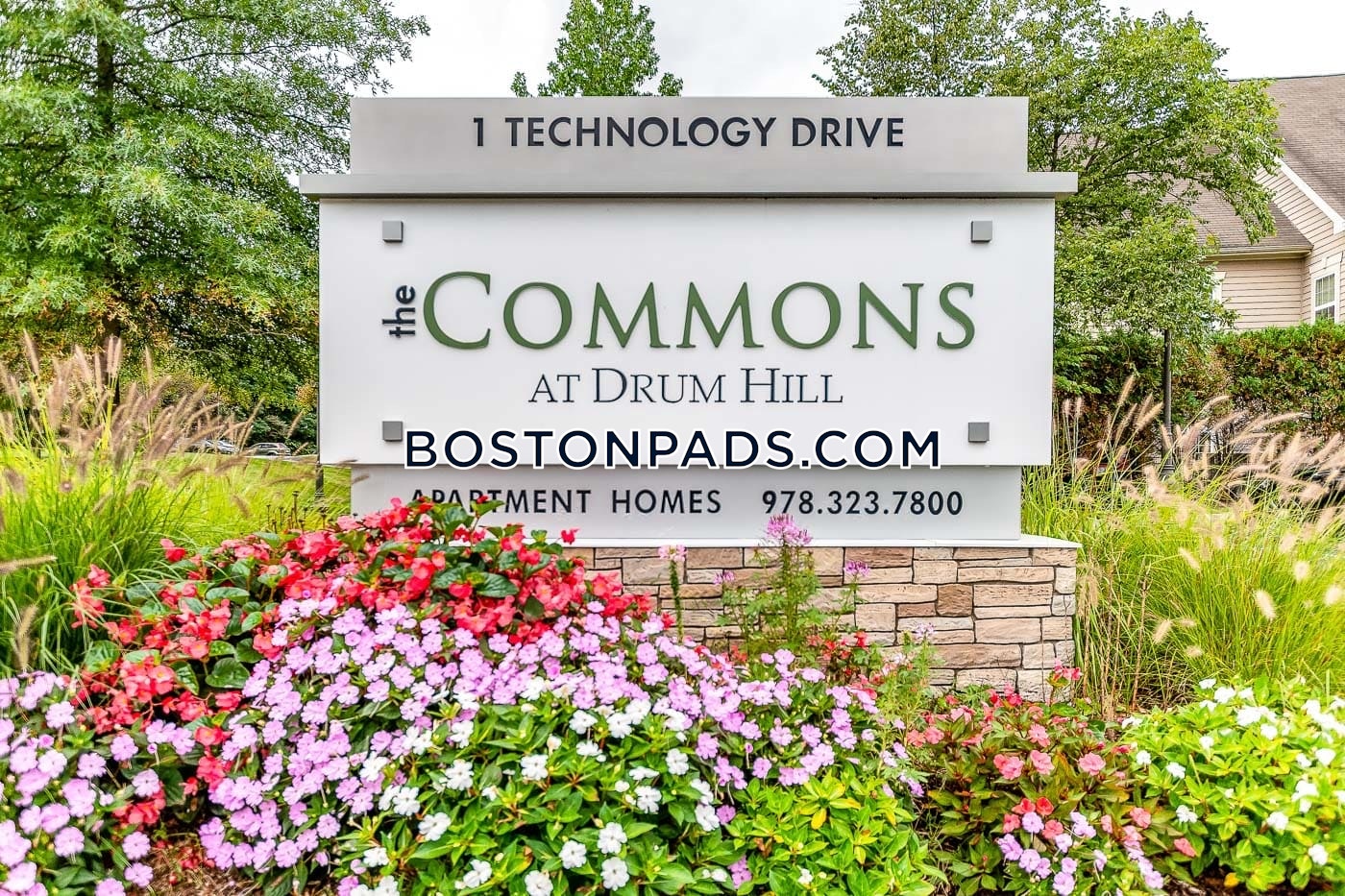 Technology Dr. Chelmsford