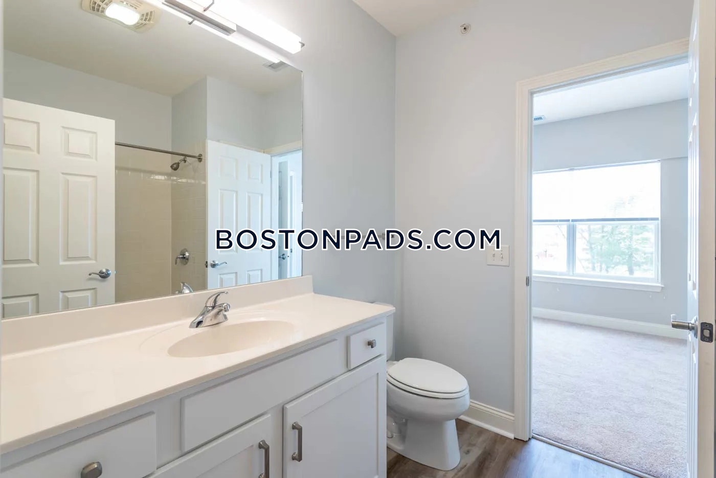 Technology Dr. Chelmsford