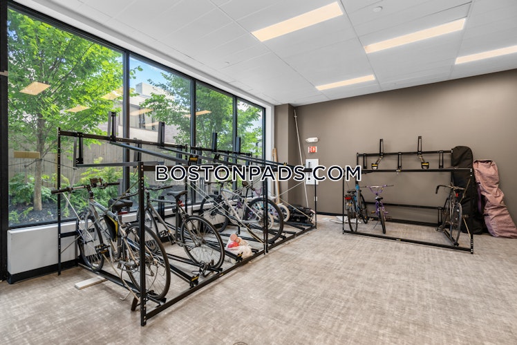 Leo M Birmingham Parkway, Boston