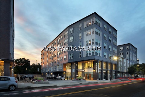 Washington St. Boston photo 16