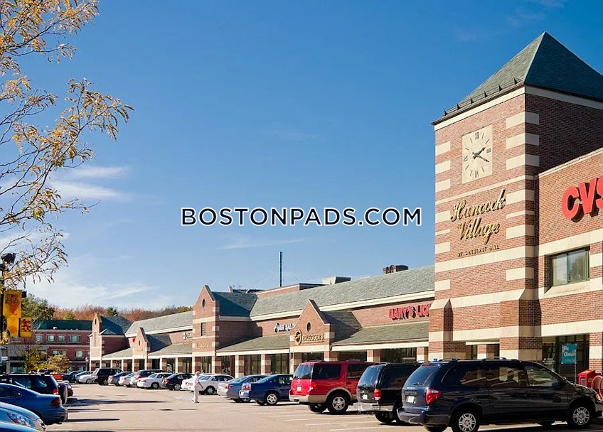 Chestnut Hill - $2,885+ /month