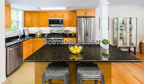 Independence Dr. Chestnut Hill photo 8