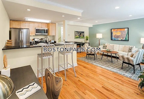 Independence Dr. Chestnut Hill photo 7