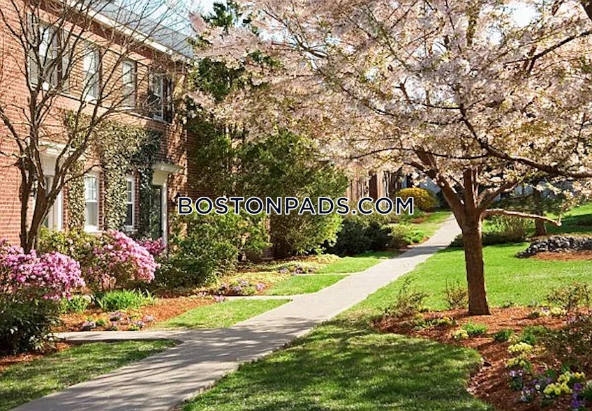 Chestnut Hill - $5,695+ /month