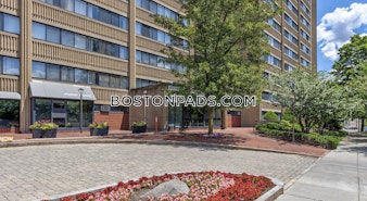 Commonwealth Ave. Boston