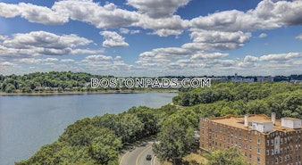 Commonwealth Ave. Boston