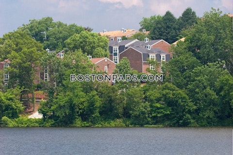 Lexington St. Waltham photo 33