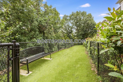 Lexington St. Waltham photo 32