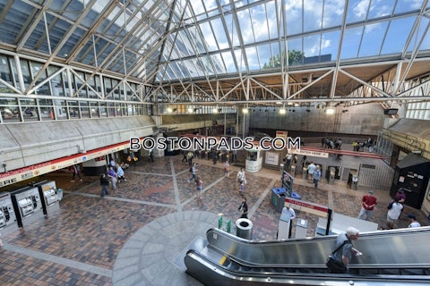 Lexington St. Waltham photo 30