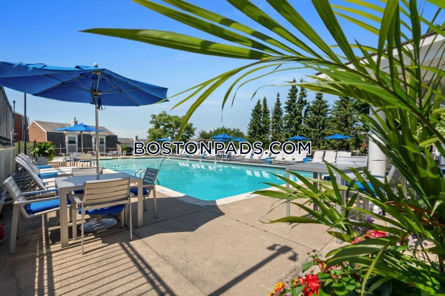 Lexington St. Waltham