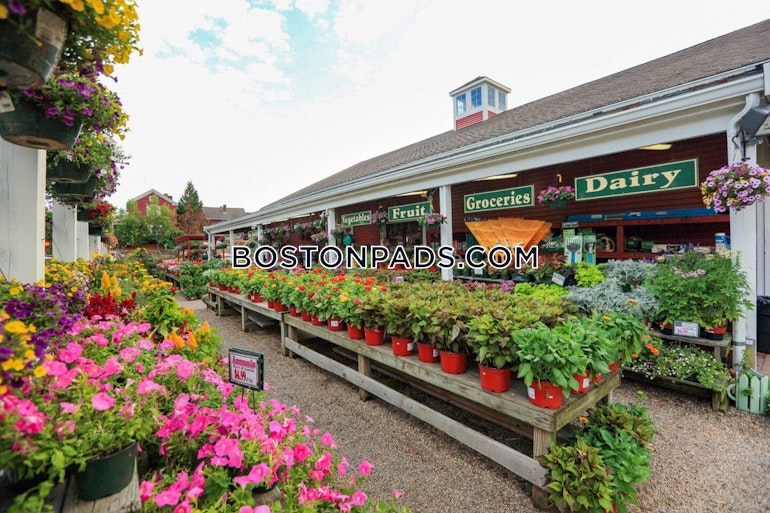 Lexington St. Waltham