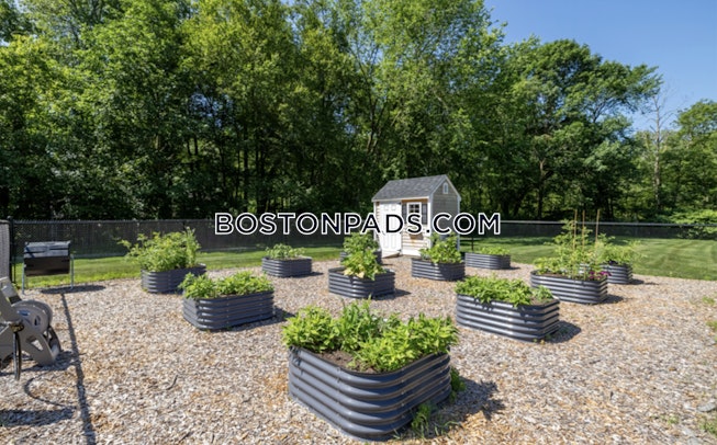 Norwood - $2,685+ /mo