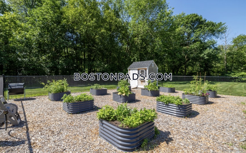 Norwood - $3,870+ /month