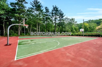 Queen Anne Dr. Weymouth