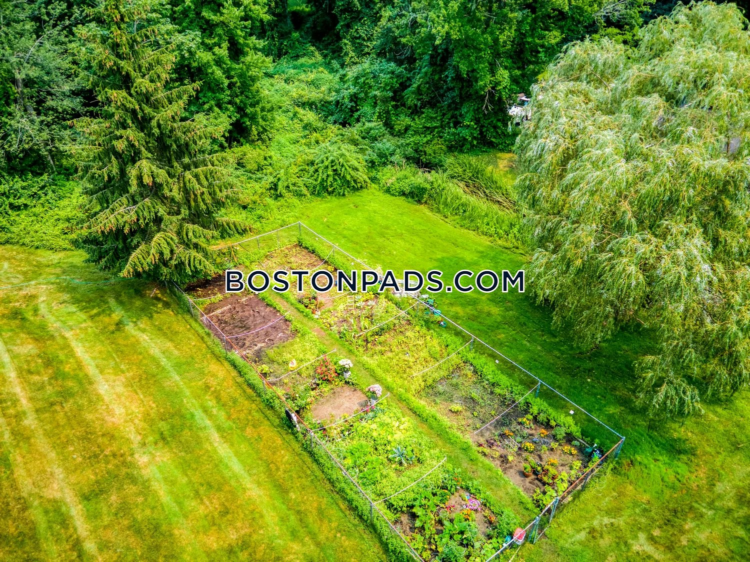 Queen Anne Dr. Weymouth