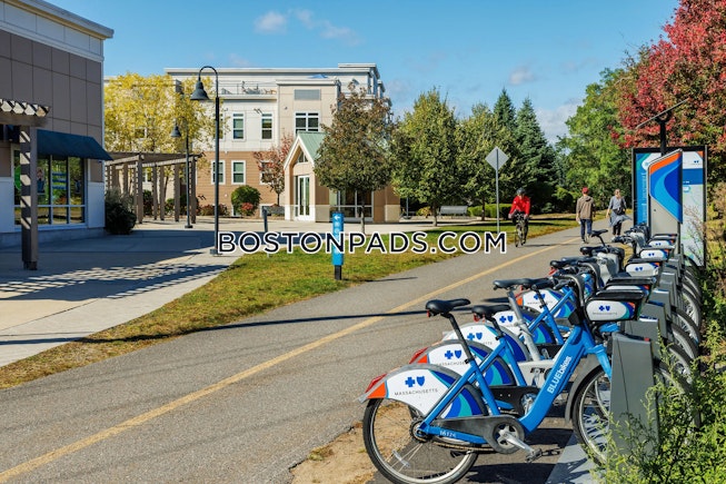 Arlington - $3,546+ /mo