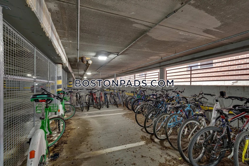 Boston - $3,838+ /month