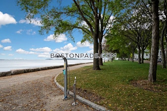 Oyster Bay Rd. Boston