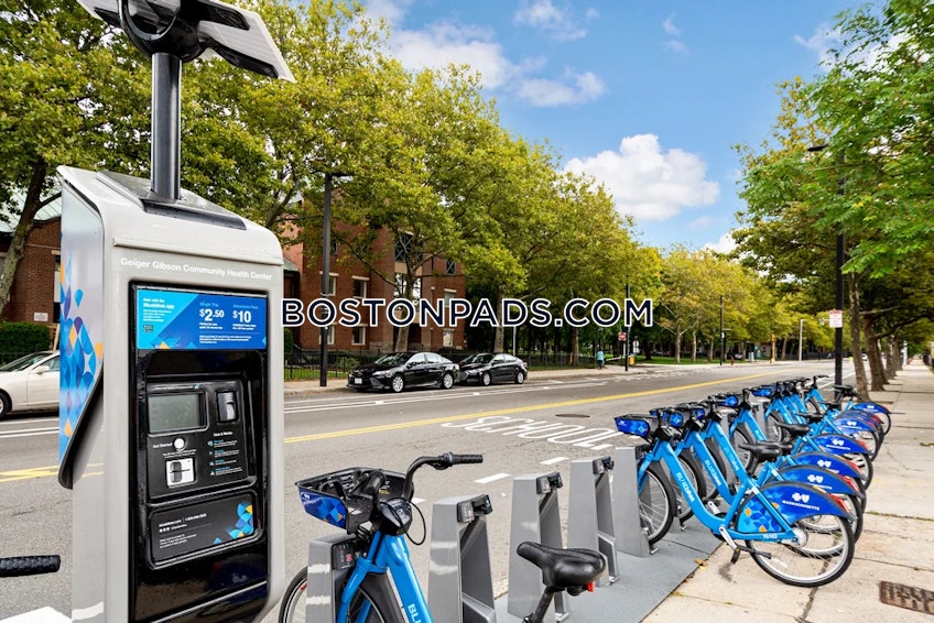 Boston - $3,383+ /month