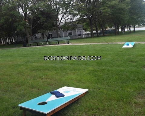 Oyster Bay Rd. Boston photo 19