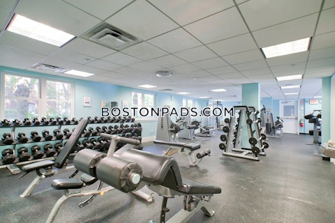 Oyster Bay Rd. Boston photo 7