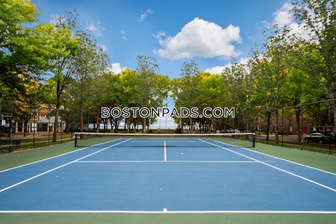 Oyster Bay Rd. Boston photo 12