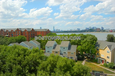 Oyster Bay Rd. Boston photo 8