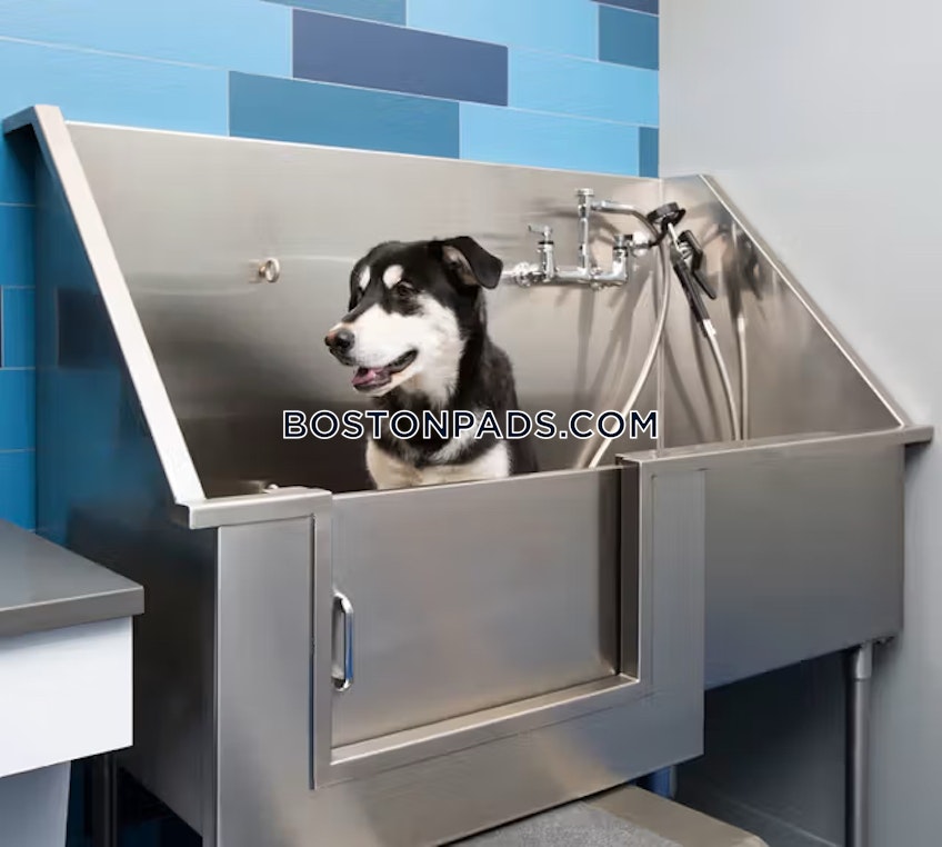 Boston - $4,183+ /month