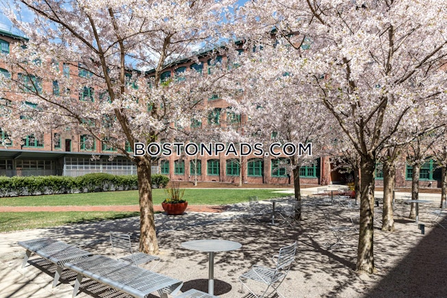 Waltham - $3,150+ /mo