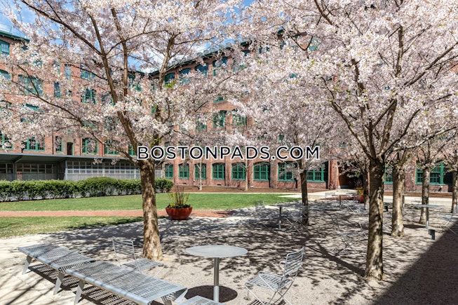 Waltham - $4,600+ /mo