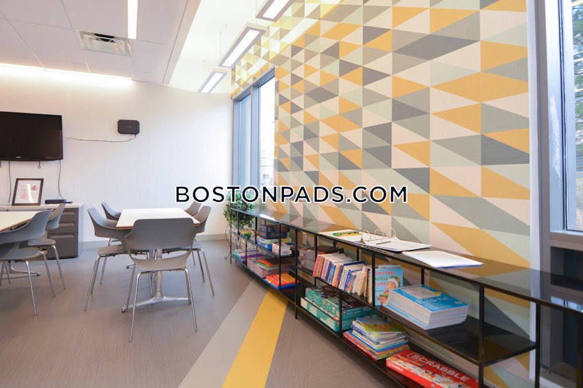 Cambridge - $3,000+ /month