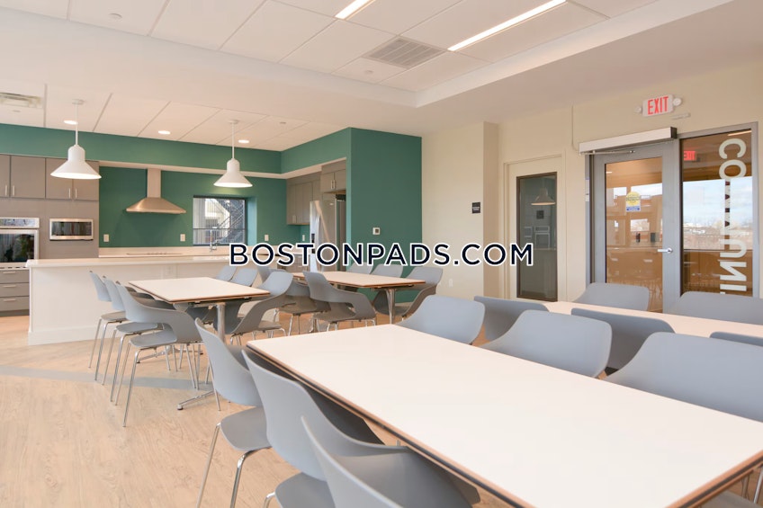 Cambridge - $3,000+ /month