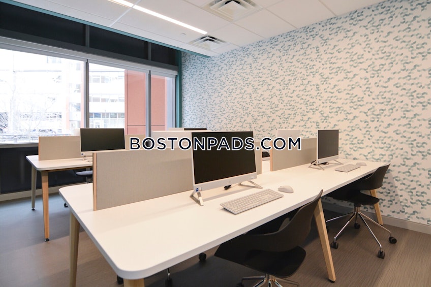 Cambridge - $3,000+ /month