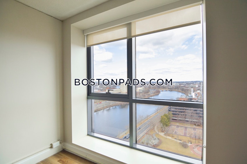 Cambridge - $3,000+ /month