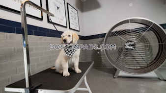 Leighton St. Cambridge