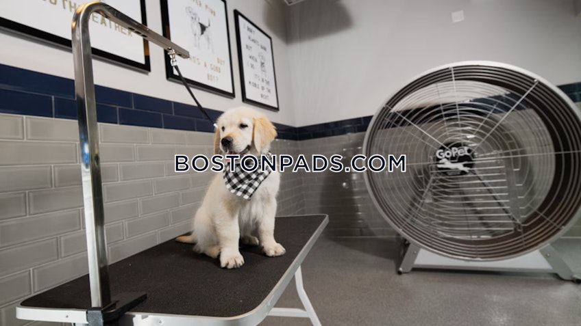 Cambridge - $5,374+ /month