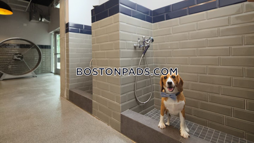 Cambridge - $2,723+ /month