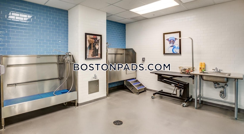 Cambridge - $7,142+ /month