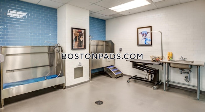 Cambridge - $3,393+ /mo