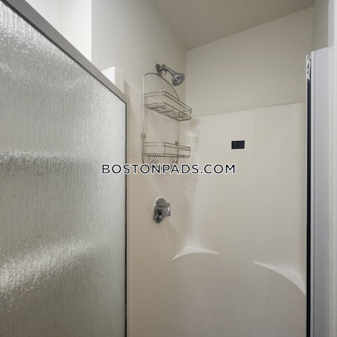 Shepherd Ave. Boston photo 30