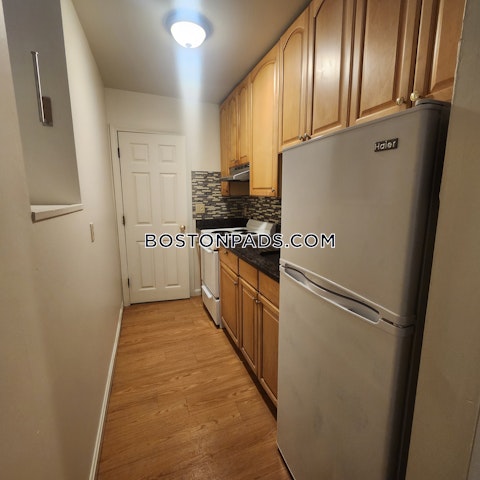 Shepherd Ave. Boston photo 6