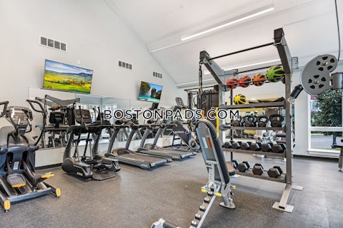 Hummingbird Ln. Boston photo 12