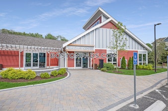 Hummingbird Ln. Boston