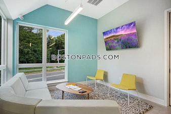 Hummingbird Ln. Boston